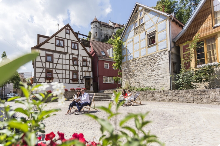 Durch eine Pflanze fotografierte Fachwerkhäuser, mit Menschen im Vordergrund und dem heidenheimer Schloss im Hintergrund.